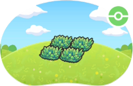 Hautes herbes vertes