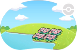 Parterre de fleurs riveraines