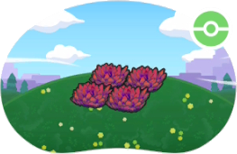 Hautes herbes rouges en altitude