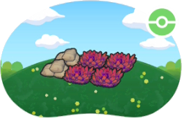 Coin d'entraînement en hautes herbes