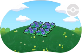 Parterre de fleurs splendides