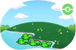 Étang avec plantes flottantes