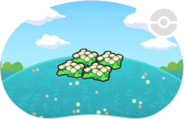 Parterre de fleurs duveteuses