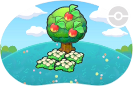 Fleurs duveteuses sous un arbre