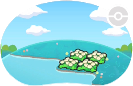 Fleurs duveteuses riveraines