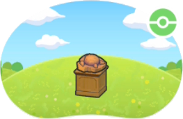 Spécimen de Fossile Crâne