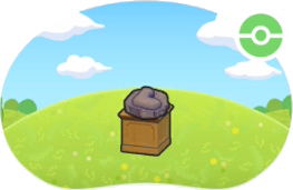 Spécimen de Fossile Mâchoire