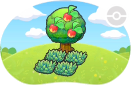 Hautes herbes sous un arbre