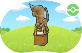 Spécimen de Fossile Toundra