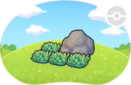 Hautes herbes près d'un rocher