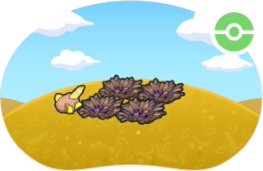 Hautes herbes sèches