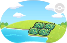 Hautes herbes en bord de mer