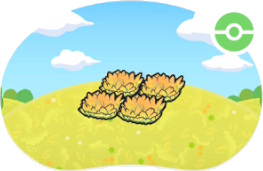 Hautes herbes jaunes