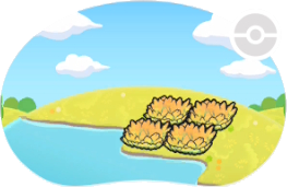 Hautes herbes jaunes riveraines