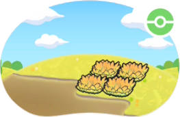 Hautes herbes des marais