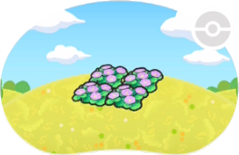 Parterre de fleurs rafraîchissantes