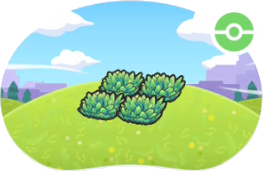 Hautes herbes en altitude