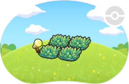 Hautes herbes éclairées