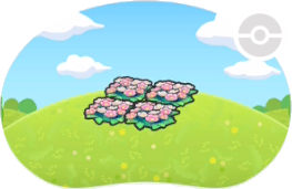 Joli parterre de fleurs