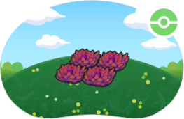 Hautes herbes rouges