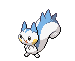 Pachirisu