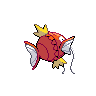 Magicarpe femelle dans Noire et Blanche