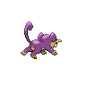 Rattata femelle dans Noire et Blanche