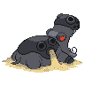 Hippodocus femelle dans Noire et Blanche