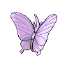 Aeromite femelle dans Noire et Blanche