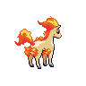 Ponyta femelle dans Noire et Blanche