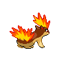 Feurisson femelle shiny dans Noire et Blanche