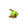 Natu femelle shiny dans Noire et Blanche