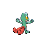 Arcko femelle shiny dans Noire et Blanche