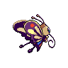 Charmillon femelle shiny dans Noire et Blanche