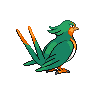 Heledelle femelle shiny dans Noire et Blanche