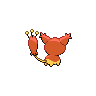 Skitty femelle shiny dans Noire et Blanche