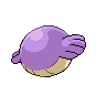 Wailmer femelle shiny dans Noire et Blanche