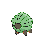 Drackhaus femelle shiny dans Noire et Blanche