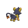 Luxio femelle shiny dans Noire et Blanche