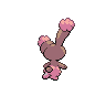 Laporeille femelle shiny dans Noire et Blanche