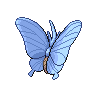 Aeromite femelle shiny dans Noire et Blanche