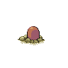 Taupiqueur femelle shiny dans Noire et Blanche