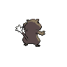 Ratentif femelle shiny dans Noire et Blanche