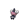 Scrutella femelle shiny dans Noire et Blanche