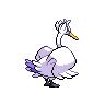 Lakmecygne femelle shiny dans Noire et Blanche