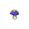 Trompignon femelle shiny dans Noire et Blanche