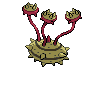 Noacier femelle shiny dans Noire et Blanche