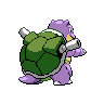 Tortank femelle shiny dans Noire et Blanche