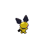 Pichu mâle dans Noire et Blanche