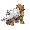 Entei dans Noire et Blanche